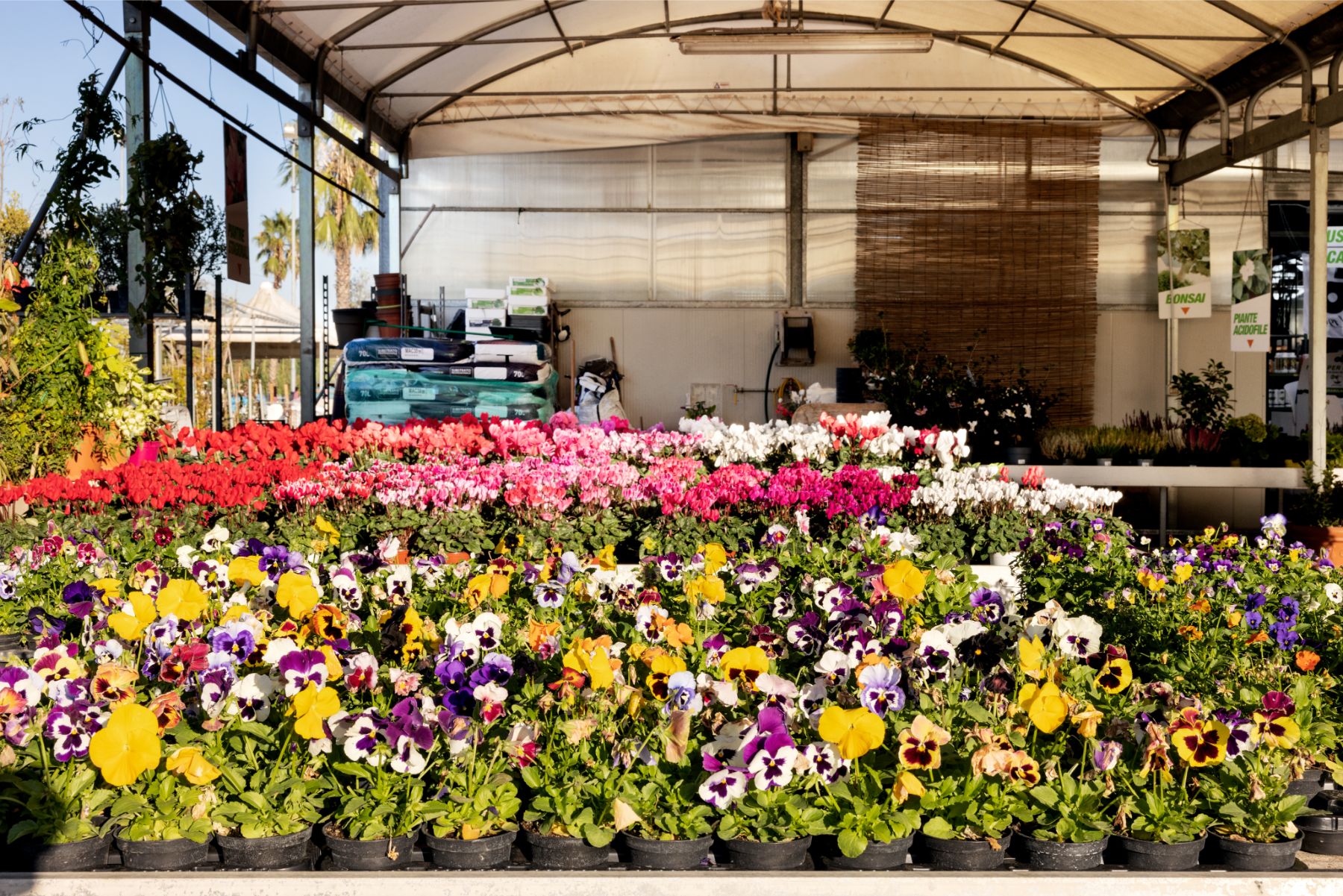 Ecoservice_Reparti_Gallery_Fiori_4