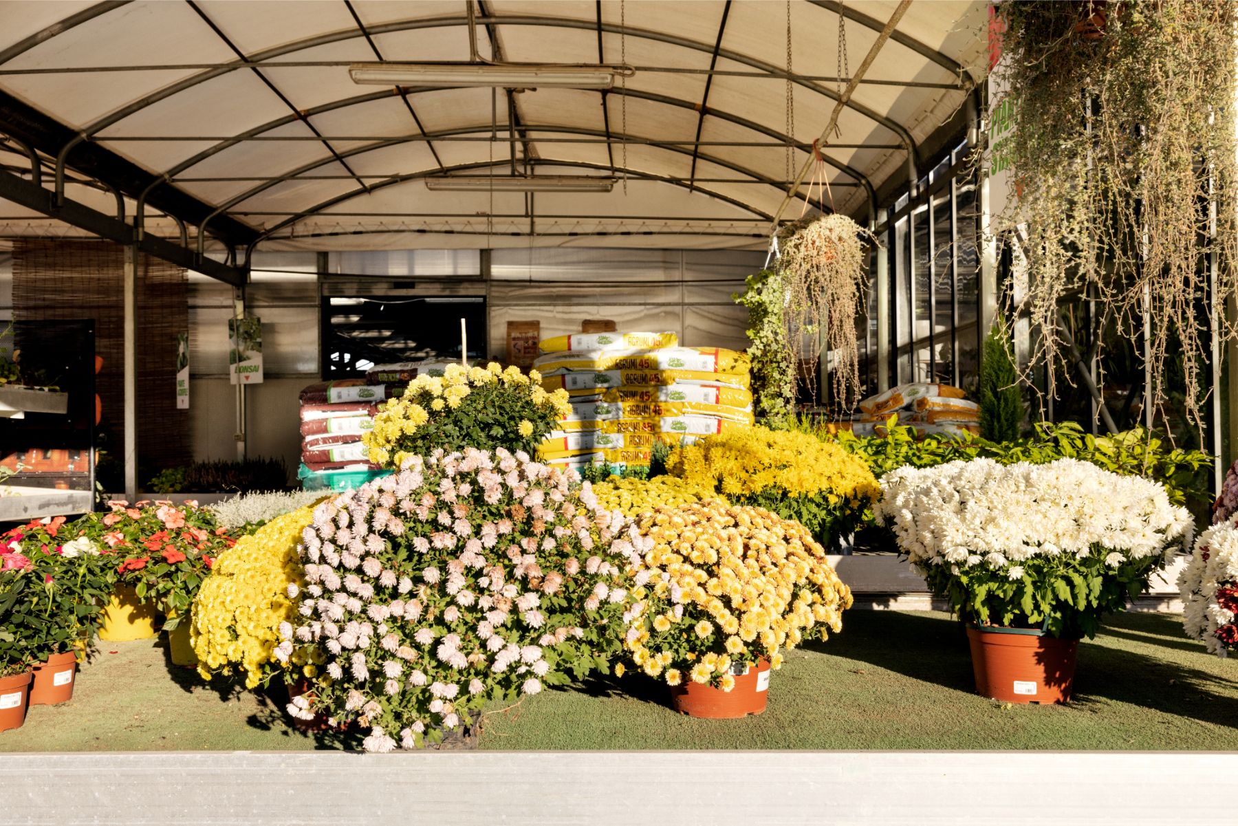 Ecoservice_Reparti_Gallery_Fiori_5