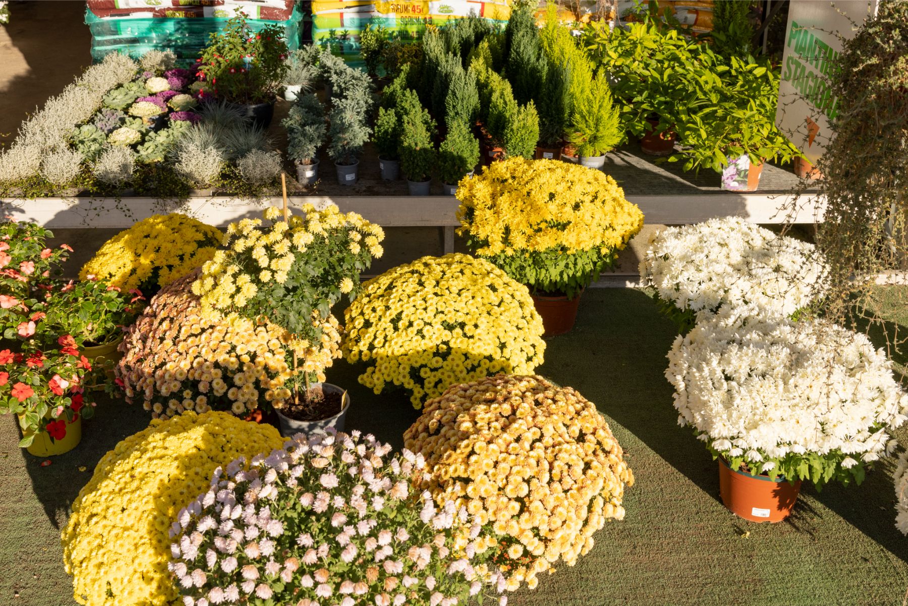 Ecoservice_Reparti_Gallery_Fiori_6