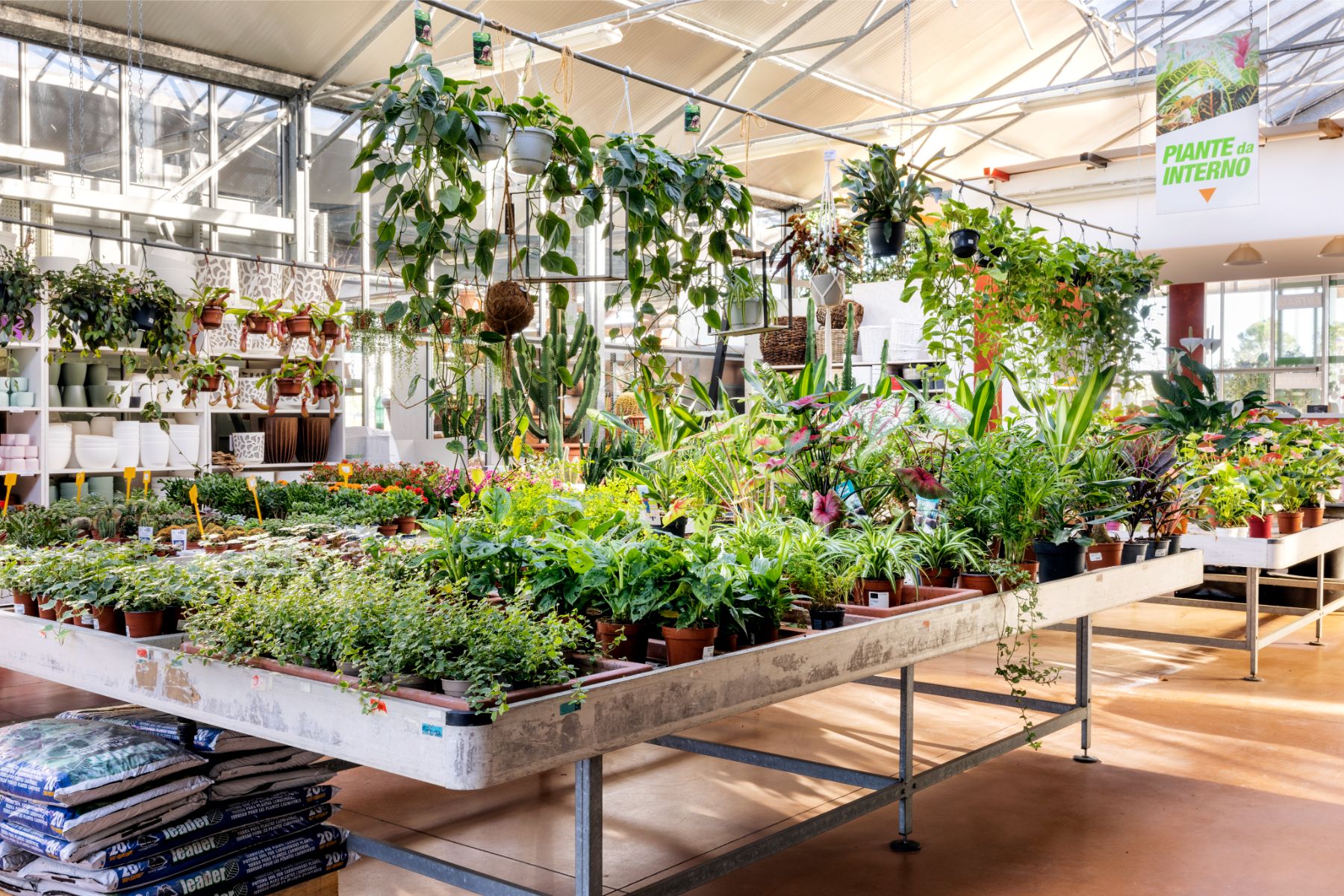 Ecoservice_Reparti_Gallery_Piante_Interno_1