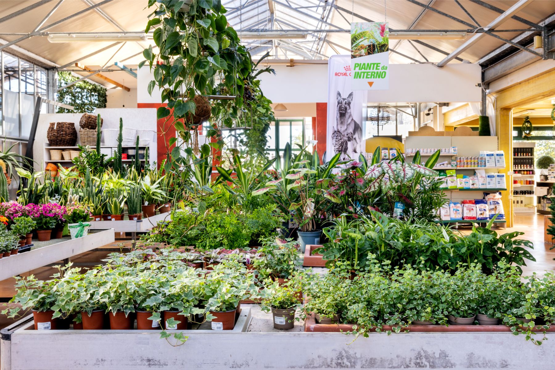 Ecoservice_Reparti_Gallery_Piante_Interno_2