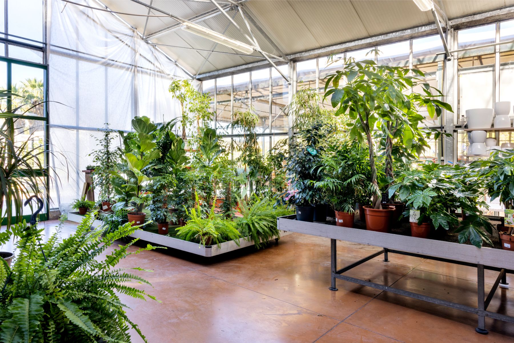 Ecoservice_Reparti_Gallery_Piante_Interno_5