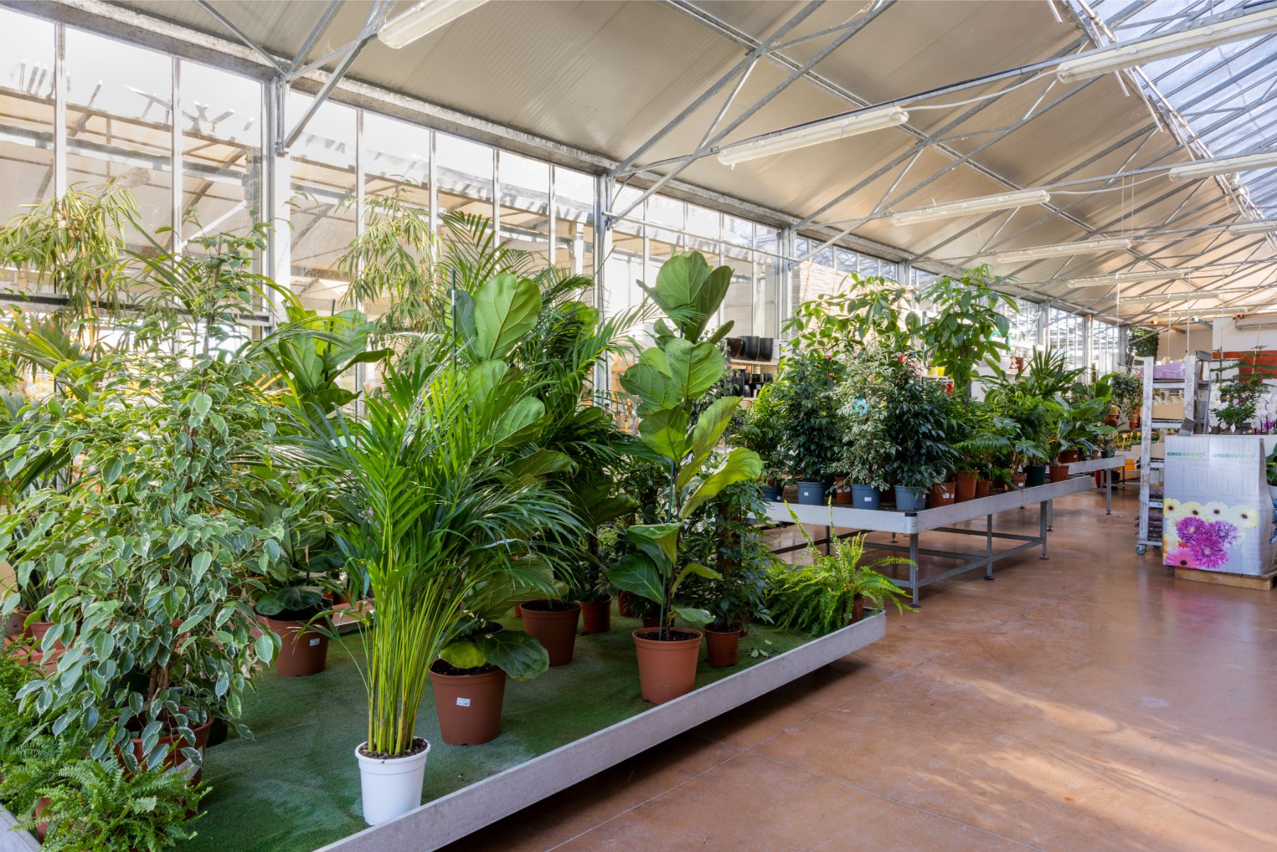 Ecoservice_Reparti_Gallery_Piante_Interno_6