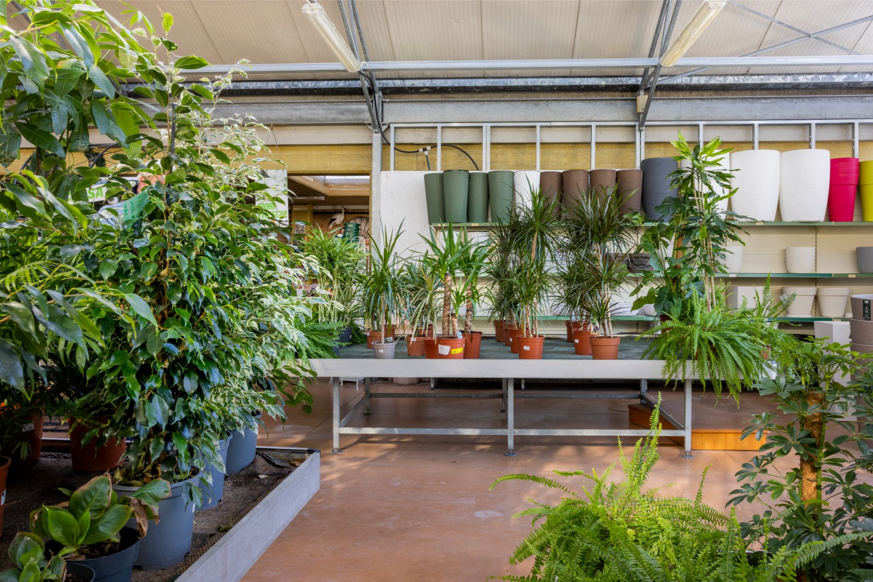 Ecoservice_Reparti_Gallery_Piante_Interno_7