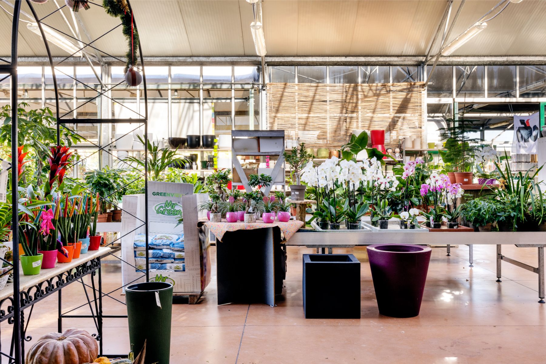 Ecoservice_Reparti_Gallery_Piante_Interno_8
